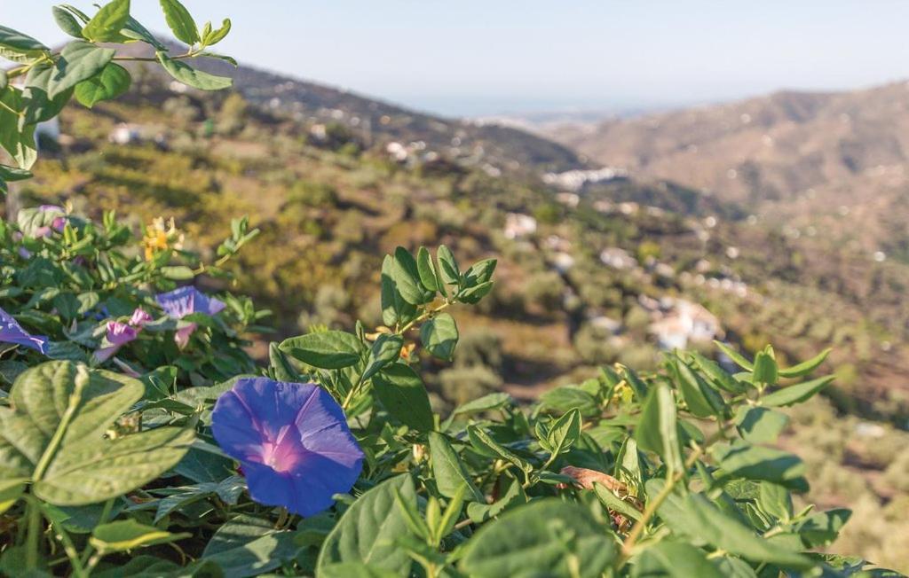 Casa Lola Βίλα Sayalonga Εξωτερικό φωτογραφία